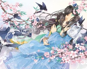 日韩在线自动转跳无广告免费